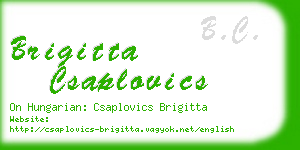 brigitta csaplovics business card